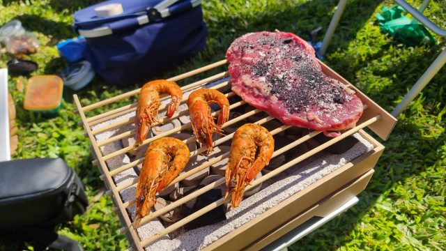 Supercar Barbecue Picnic Day